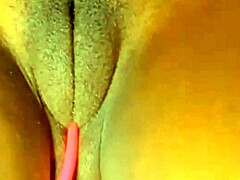 Il fisico muscoloso di Sexystacy7s e il suo impressionante cammello in mostra in un video di masturbazione