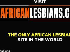 Африканска красавица е облизана и пипана с пръсти в домашно видео
