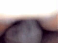 Orgasmic Creamy Pussies in Doggystyle and Hardcore Action