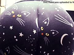 Mödrar med stora rumpor i kattbyxor visar upp sina sexiga kurvor