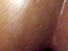 Close-up dari ayam hitam besar wanita gemuk yang sedang beraksi