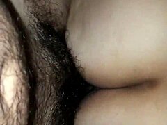 Modne Latinas ville, eksplosive orgasme